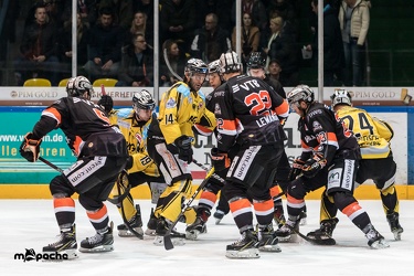 Löwen Frankfurt - Bayreuth Tigers - 18.01.19-034