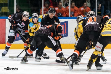 Löwen Frankfurt - Bayreuth Tigers - 18.01.19-050