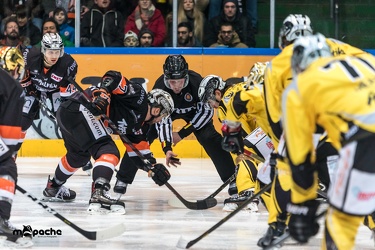 Löwen Frankfurt - Bayreuth Tigers - 18.01.19-071