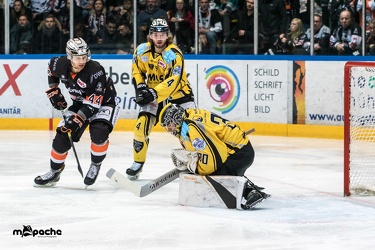 Löwen Frankfurt - Bayreuth Tigers - 18.01.19-072