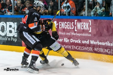 Löwen Frankfurt - Bayreuth Tigers - 18.01.19-105