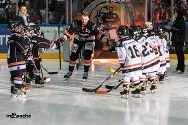 Löwen Frankfurt - Eispiraten Crimmitschau - 27.01.19-021