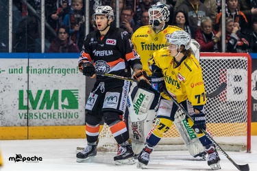 Löwen Frankfurt - Lausitzer Füchse - 08.02.19-026