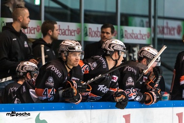 Löwen Frankfurt - Lausitzer Füchse - 08.02.19-048
