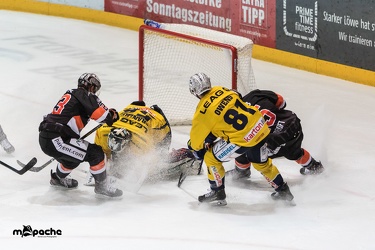 Löwen Frankfurt - Lausitzer Füchse - 08.02.19-052
