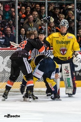 Löwen Frankfurt - Lausitzer Füchse - 08.02.19-086