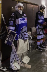 EC Bad Nauheim - Löwen Frankfurt  - 10.02.19-004