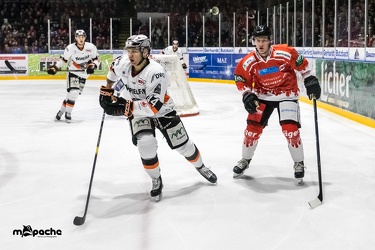 EC Bad Nauheim - Löwen Frankfurt  - 10.02.19-037