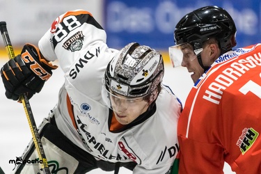 EC Bad Nauheim - Löwen Frankfurt  - 10.02.19-059