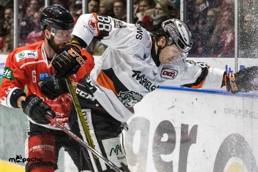EC Bad Nauheim - Löwen Frankfurt  - 10.02.19-093