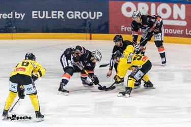Löwen Frankfurt - Tölzer Löwen - 15.02.19-042