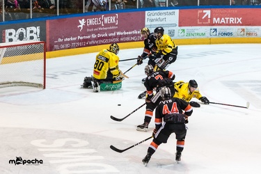 Löwen Frankfurt - Tölzer Löwen - 15.02.19-055