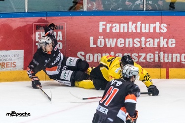 Löwen Frankfurt - Tölzer Löwen - 15.02.19-063