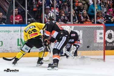 Löwen Frankfurt - Tölzer Löwen - 15.02.19-094