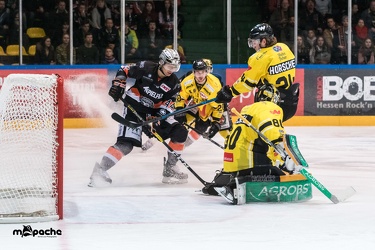 Löwen Frankfurt - Tölzer Löwen - 15.02.19-152