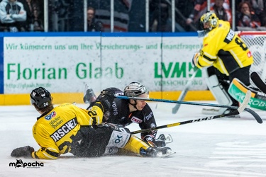 Löwen Frankfurt - Tölzer Löwen - 15.02.19-156