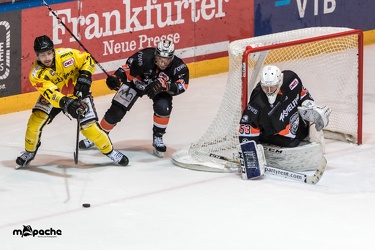 Löwen Frankfurt - Tölzer Löwen - 15.02.19-179