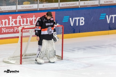 Löwen Frankfurt - Bietigheim Steelers - 24.02.19-032