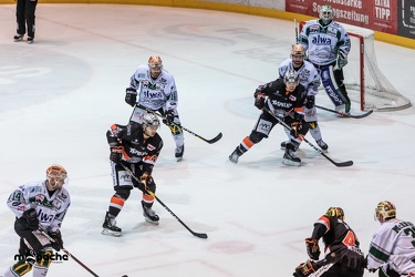 Löwen Frankfurt - Bietigheim Steelers - 24.02.19-084