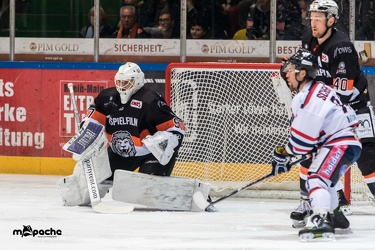 Löwen Frankfurt - Deggendorfer SC - 01.03.19-046