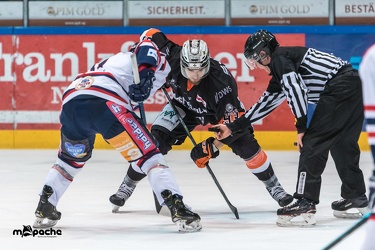 Löwen Frankfurt - Deggendorfer SC - 01.03.19-131