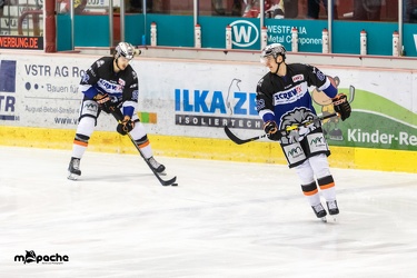 VF2 - Eispiraten Crimmitschau - Löwen Frankfurt - 17.03.19-019