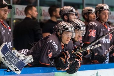 VF3 - Löwen Frankfurt - Eispiraten Crimmitschau - 22.03.19-090