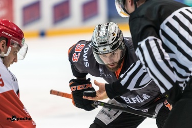 VF3 - Löwen Frankfurt - Eispiraten Crimmitschau - 22.03.19-115