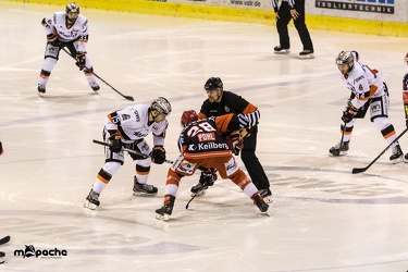 VF4 - Eispiraten Crimmitschau -Löwen Frankfurt -  24.03.19-082