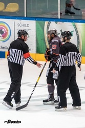 VF5 - Löwen Frankfurt - Eispiraten Crimmitschau - 26.03.19-037