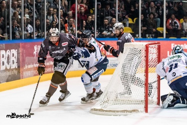 HF1 - Löwen Frankfurt - Dresdner Eislöwen - 03.04.19-028