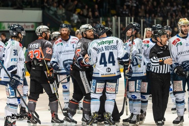 HF1 - Löwen Frankfurt - Dresdner Eislöwen - 03.04.19-049
