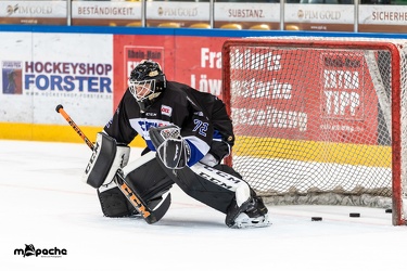 HF3 - Löwen Frankfurt - Dresdner Eislöwen - 07.04.19-009