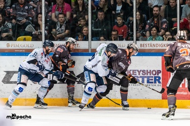 HF3 - Löwen Frankfurt - Dresdner Eislöwen - 07.04.19-117