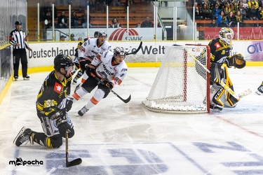 Krefeld Pinguine - Löwen Frankfurt - 18.08.19-052