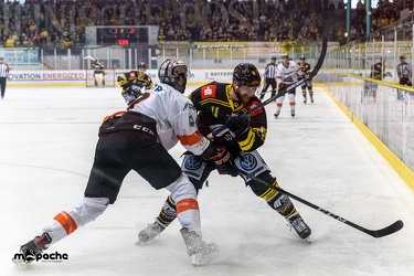 Krefeld Pinguine - Löwen Frankfurt - 18.08.19-062