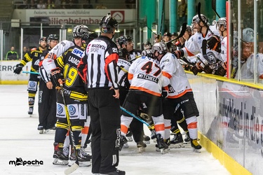 Krefeld Pinguine - Löwen Frankfurt - 18.08.19-094