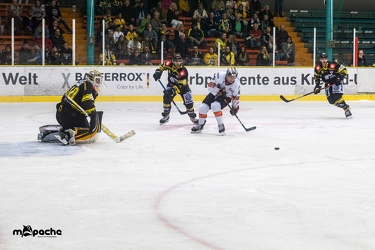Krefeld Pinguine - Löwen Frankfurt - 18.08.19-103