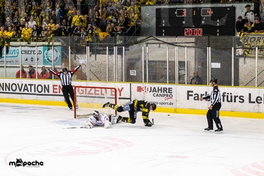 Krefeld Pinguine - Löwen Frankfurt - 18.08.19-120