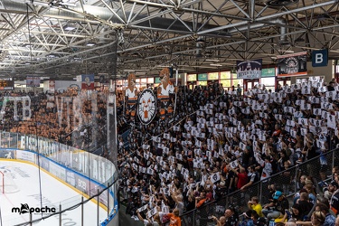 Löwen Frankfurt - Heilbbronner Falken - 15.09.19-042
