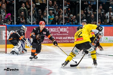 Löwen Frankfurt - Tölzer Löwen - 09.02.20 - 073