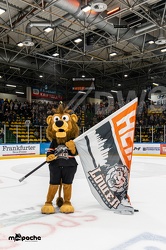 Löwen Frankfurt - Tölzer Löwen - 09.02.20 - 153