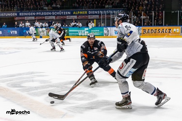 Löwen Frankfurt - Wölfe Freiburg- 16.02.20 - 116