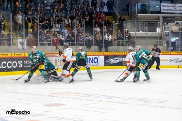 Bietigheim Steelers - Löwen Frankfurt - 21.02.20 - 036