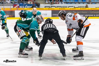 Bietigheim Steelers - Löwen Frankfurt - 21.02.20 - 056