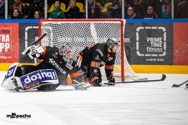 Löwen Frankfurt - Dresdner Eislöwen - 28.02.20 - 163