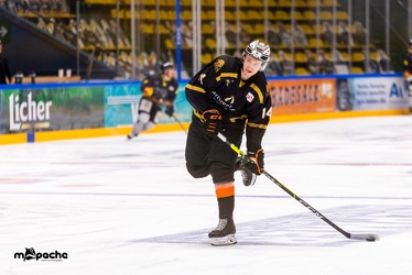 Löwen Frankfurt - Bayreuth Tigers - 06.03.21 - 013