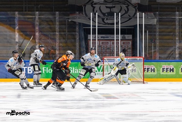 Löwen Frankfurt - Bayreuth Tigers - 06.03.21 - 129