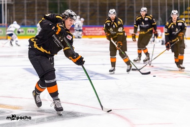 Löwen Frankfurt - Dresdner Eislöwen - 12.03.21 - 006