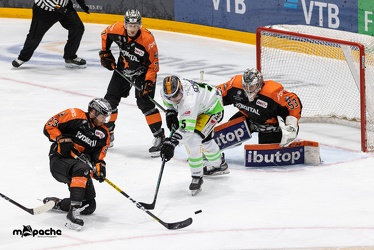 Löwen Frankfurt - Bietigheim Steelers - 29.04.21 - 070